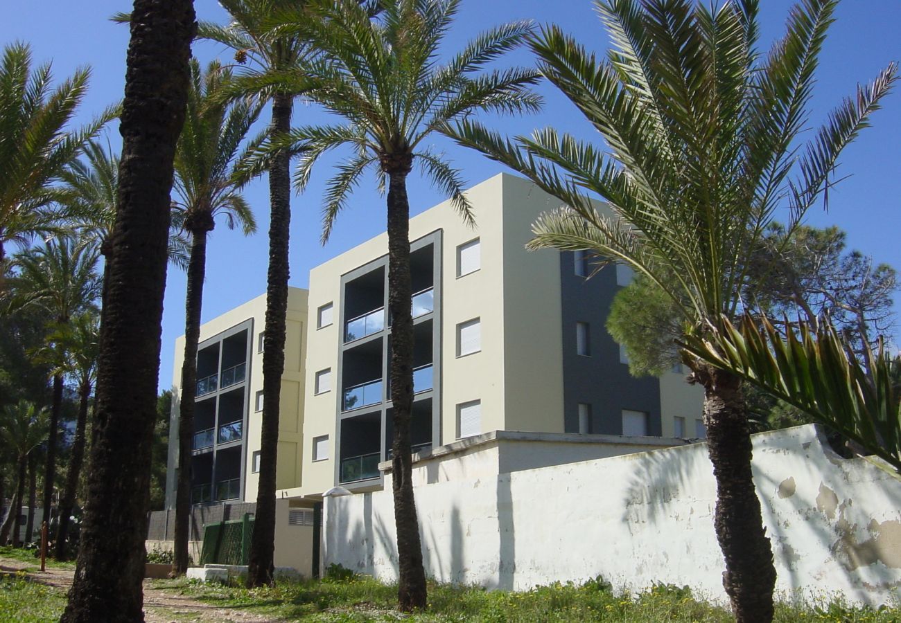 Apartment in Denia - BRAVOSOL BAJO 200A VYB