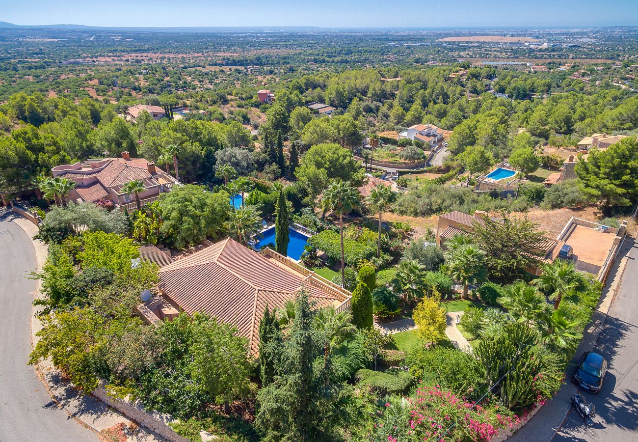 Villa in Bunyola - Villa Tierraseca Bunyola