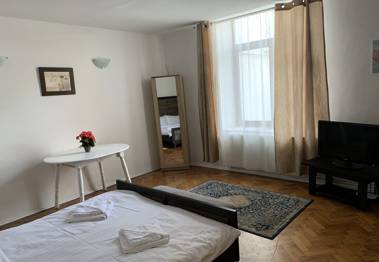 Apartment in Brasov - Apartment Werkstatt Castelului close to the Black Church Brasov