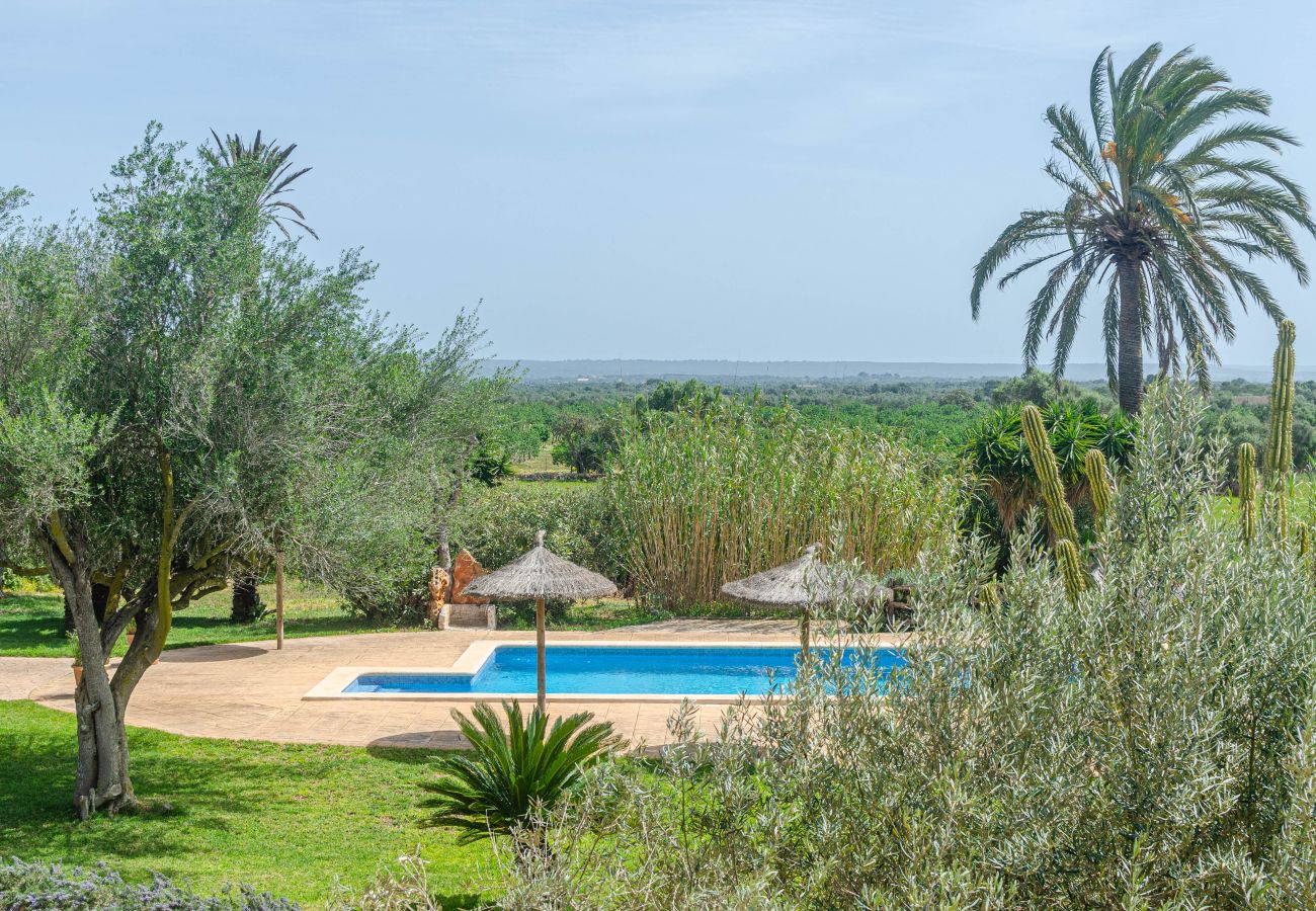 Farm stay in Campos - YourHouse Son Sala farm stay, apartment with shared pool