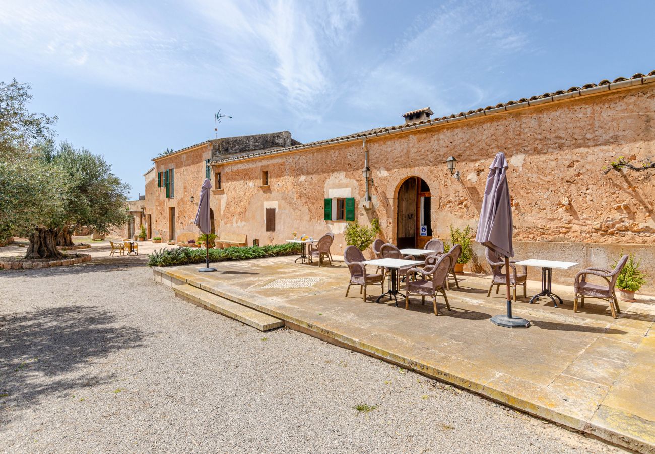 Farm stay in Campos - YourHouse Son Sala farm stay, apartment with shared pool