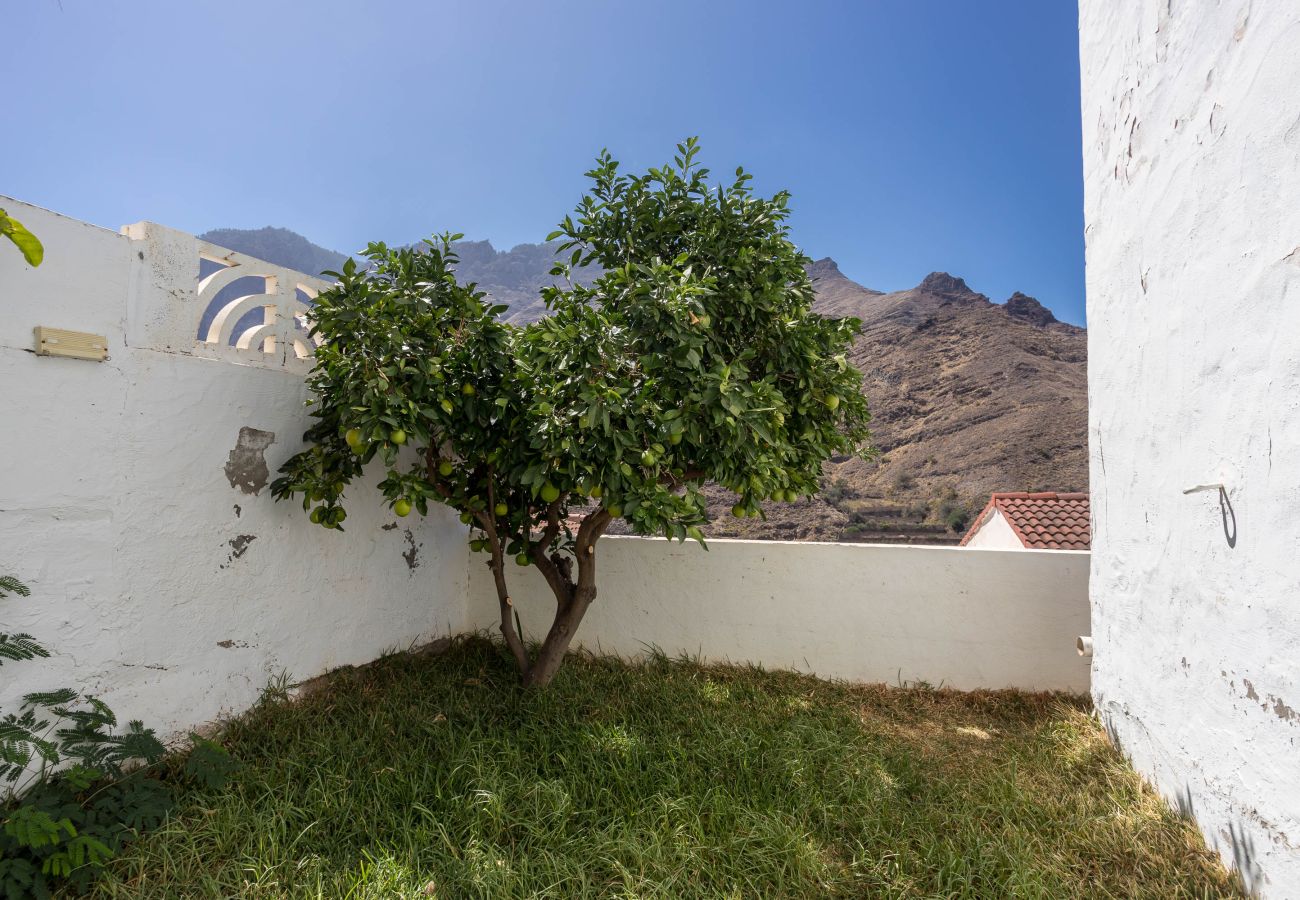 House in Agaete - Casa Carmen Agaete with terrace and sea views