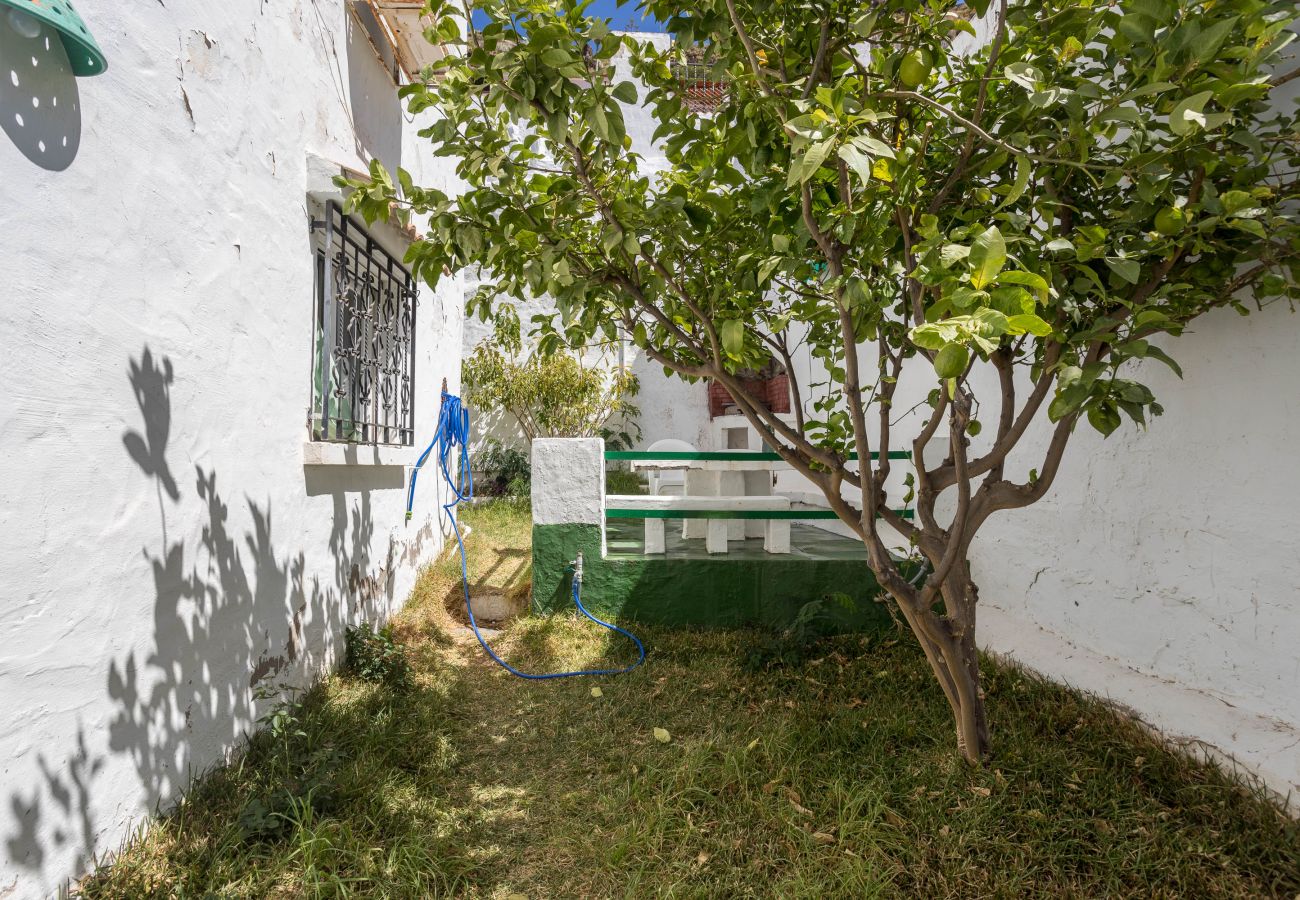 House in Agaete - Casa Carmen Agaete with terrace and sea views