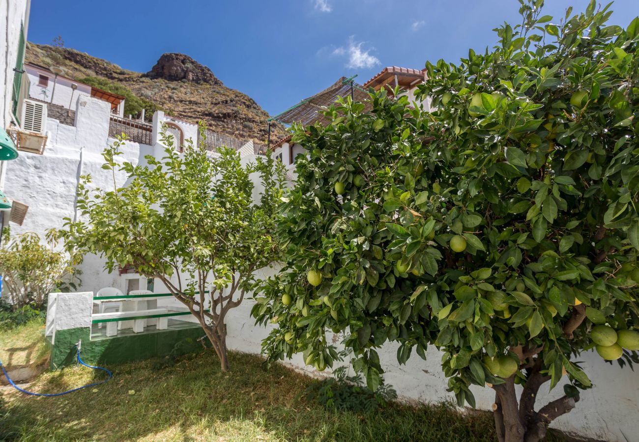 House in Agaete - Casa Carmen Agaete with terrace and sea views