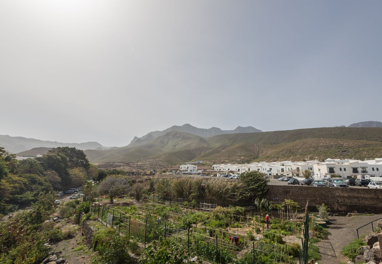 House in Agaete - Casa Carmen Agaete with terrace and sea views