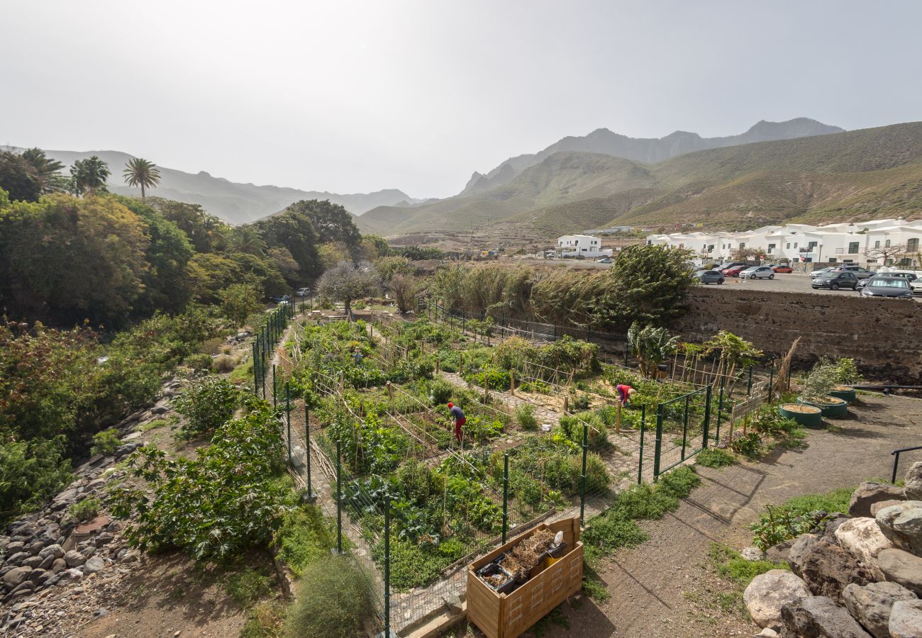 House in Agaete - Casa Carmen Agaete with terrace and sea views