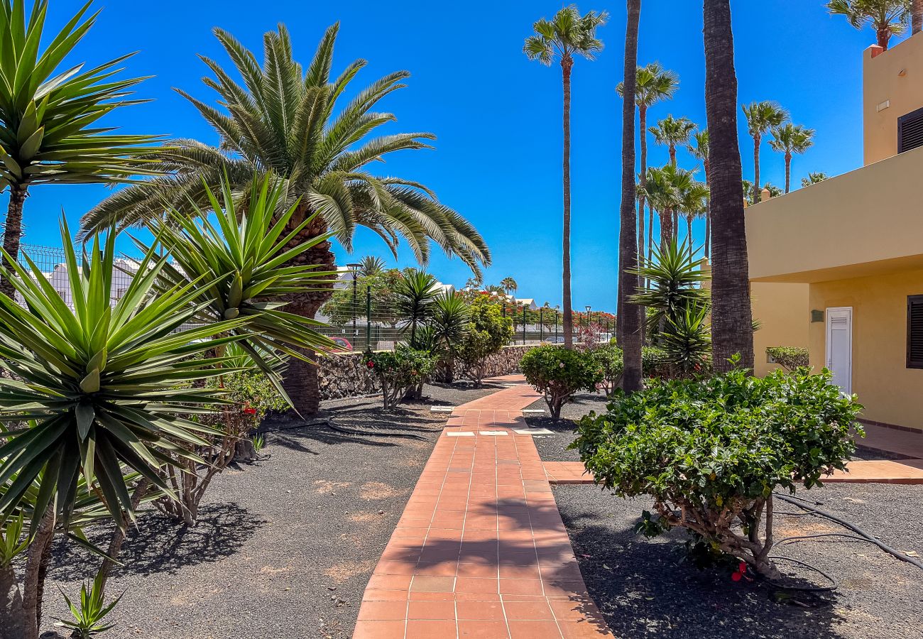 Apartment in Corralejo - Apartment Oasis Royal Corralejo F314