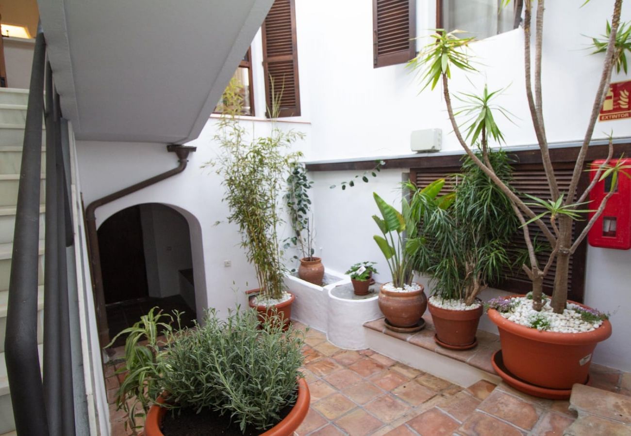 Apartment in Tarifa - Fully renovated old town apartment with terrace