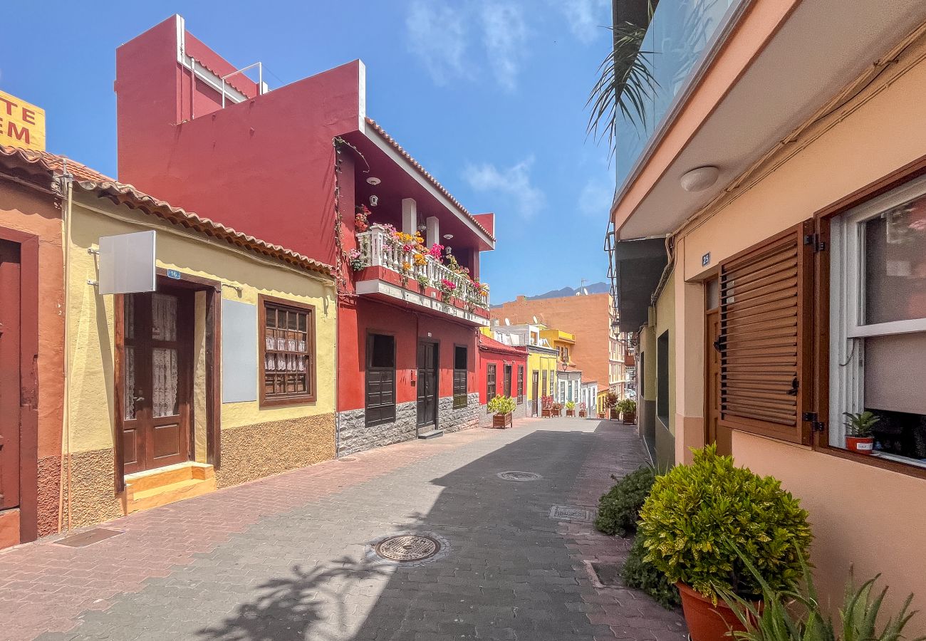 Apartment in Los Llanos de Aridane - Lightbooking Tazacorte La Palma 