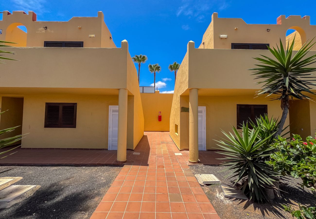 Apartment in Corralejo - Lightbooking 11 Oasis Royal Corralejo 