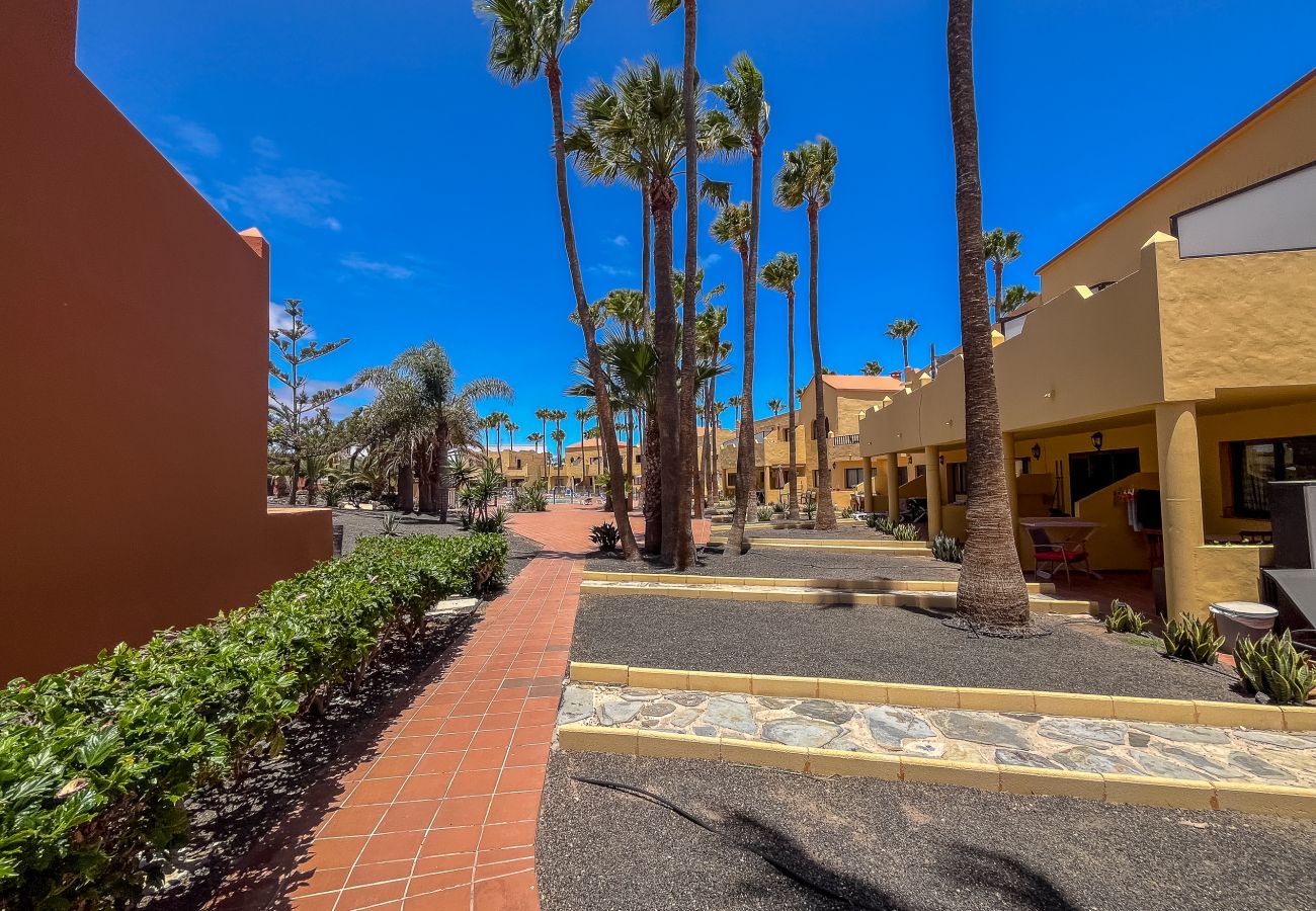 Apartment in Corralejo - Lightbooking 11 Oasis Royal Corralejo 