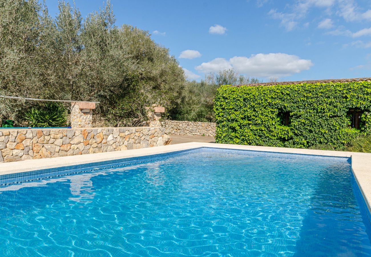 Villa in Petra - Cozy villa with private pool and barbecue in Mallorca center, Yourhouse Son Bosquer