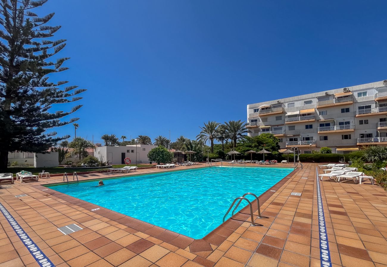 Apartment in Playa del Ingles - Lightbooking Tenesor Playa del Inglés