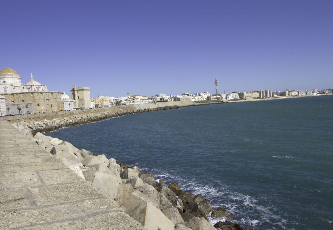 Apartment in Cádiz - Central Market Cadiz by Lightbooking