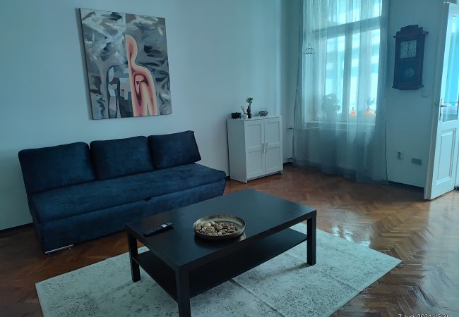 Timisoara - Apartment