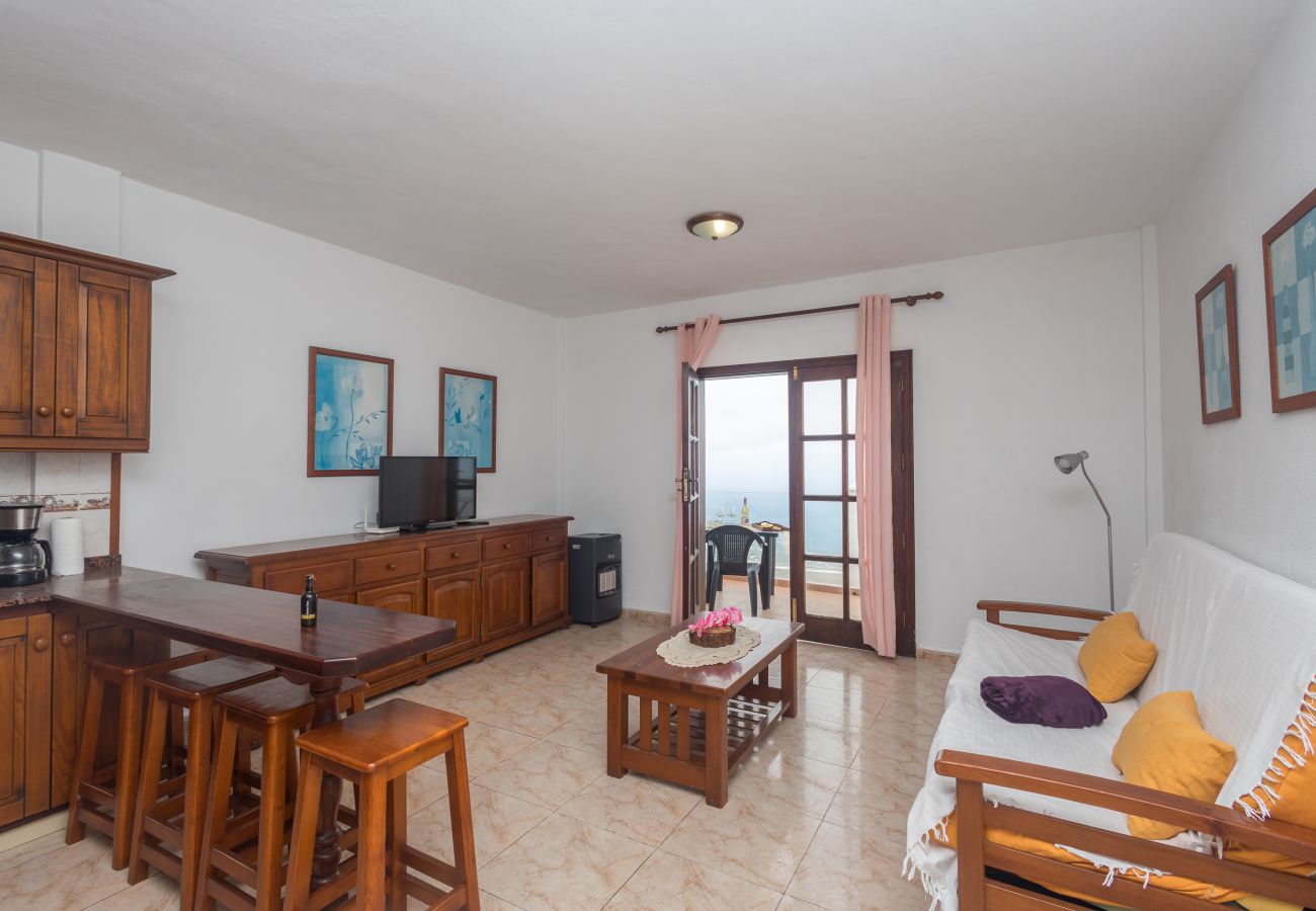 Apartment in Villa de Mazo - Lightbooking La Palma Villa de Mazo