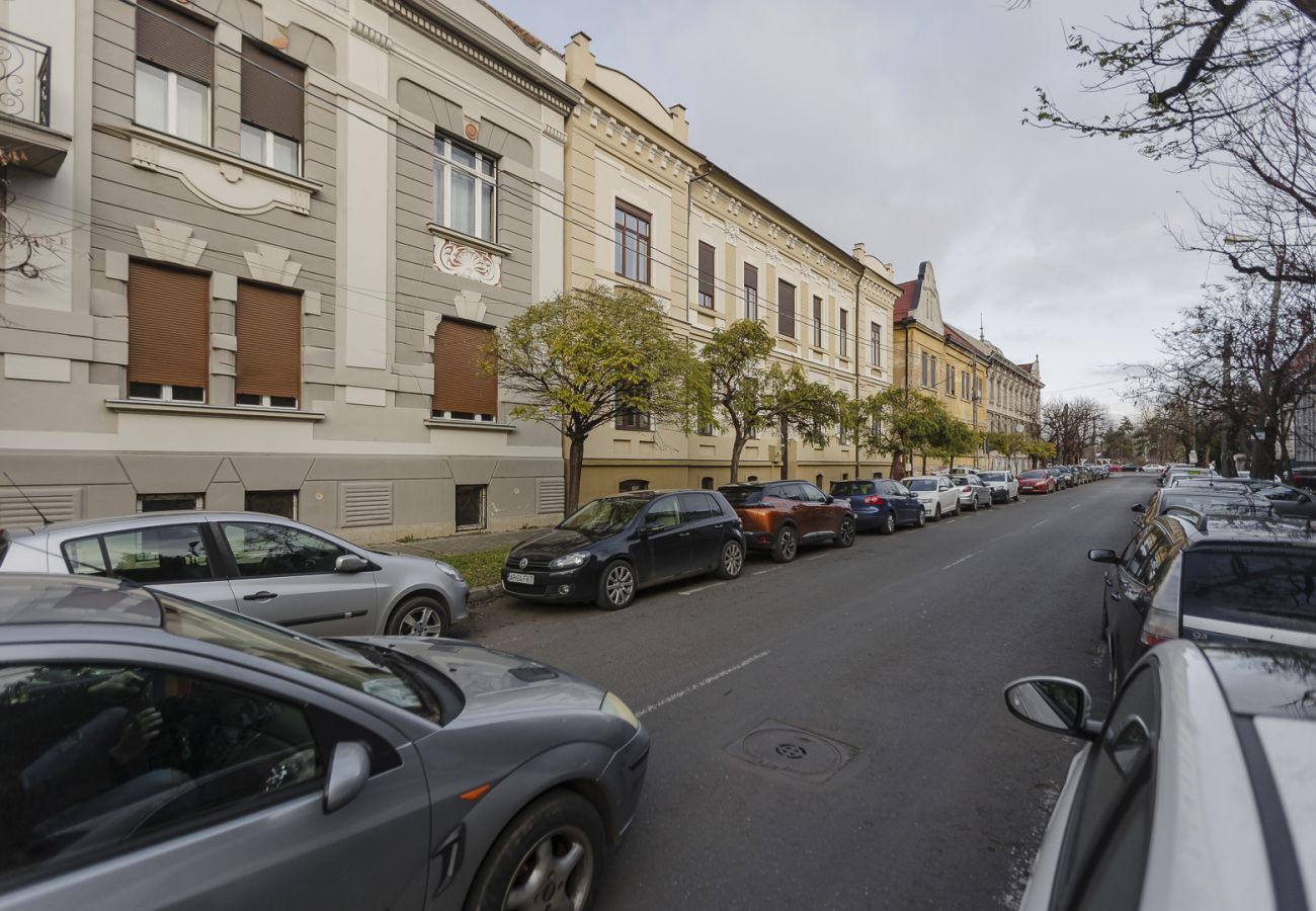 Studio in Timisoara - Old Town Heritage Studio