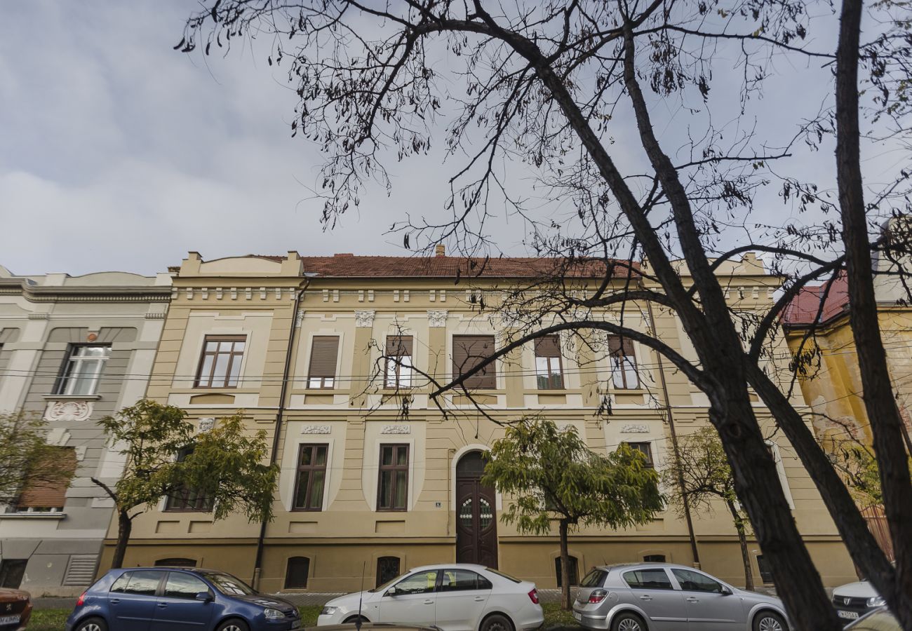 Studio in Timisoara - Old Town Heritage Studio