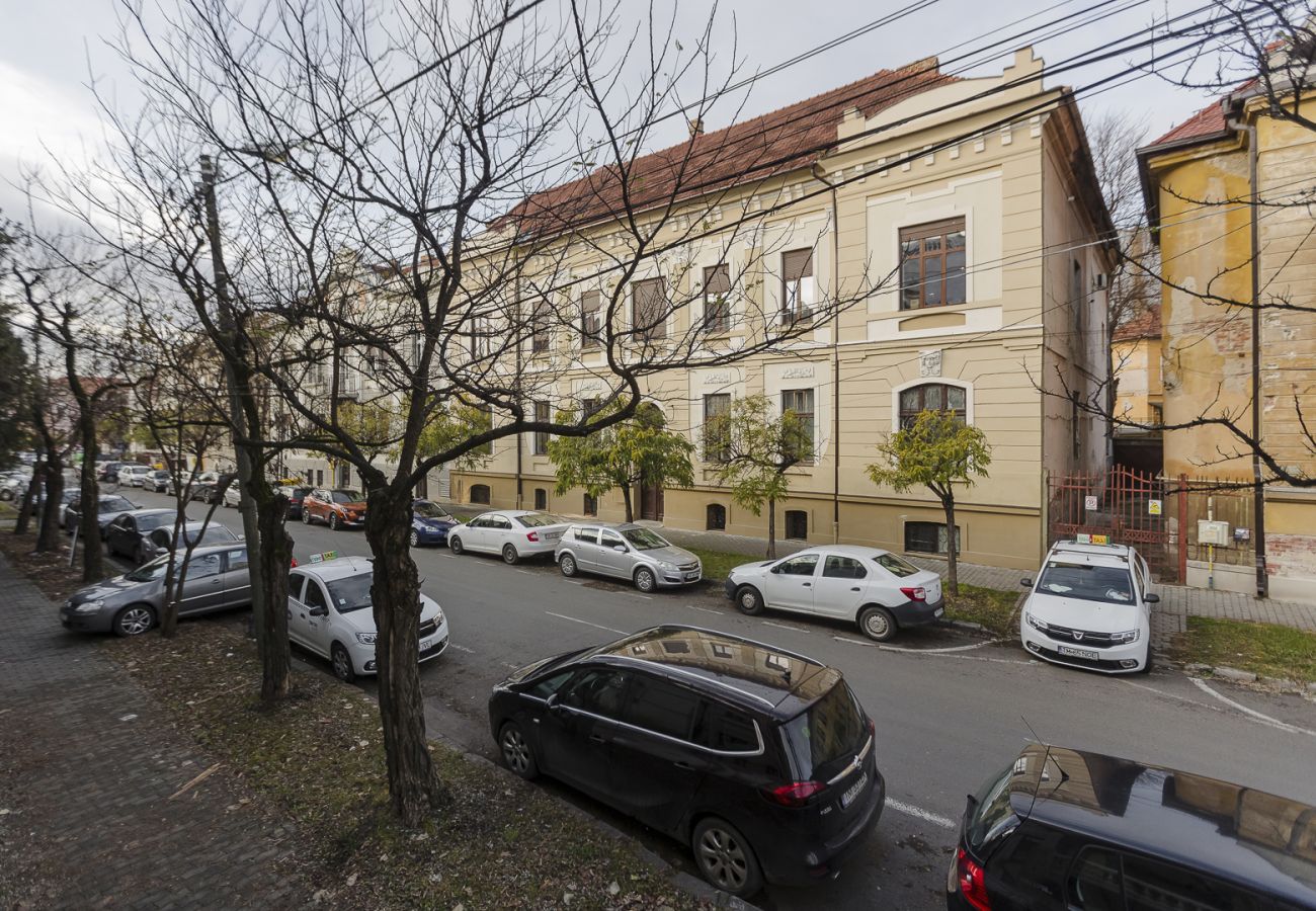 Studio in Timisoara - Old Town Heritage Studio