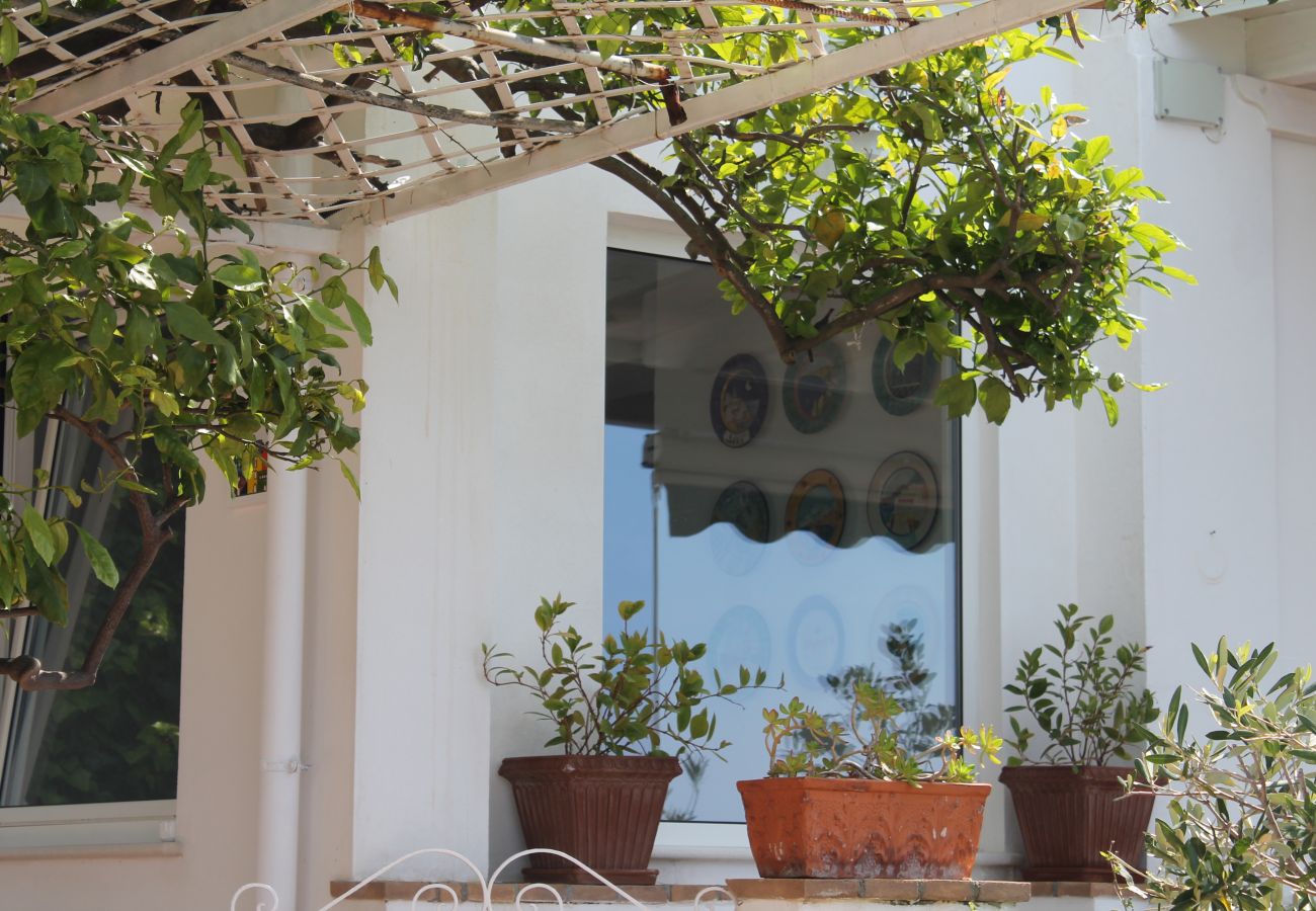 Apartment in Praiano - Casa Nostra - It speaks of love, family, and the sea