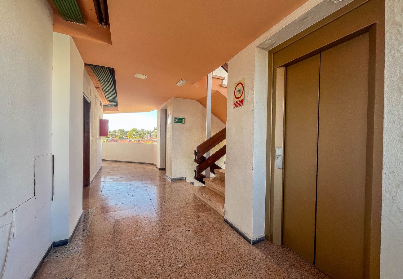 Apartment in Playa del Ingles - Lightbooking Tenesor Playa del Ingles center