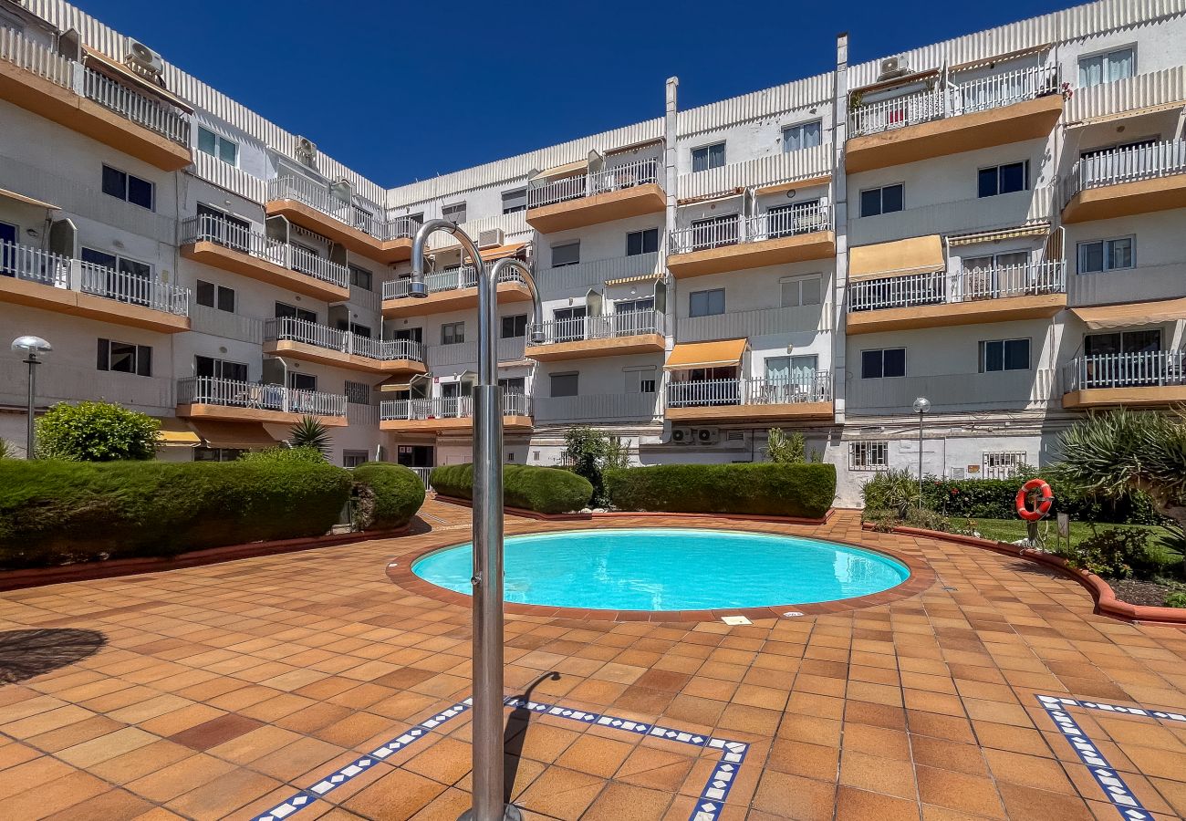 Apartment in Playa del Ingles - Lightbooking Tenesor Playa del Ingles center