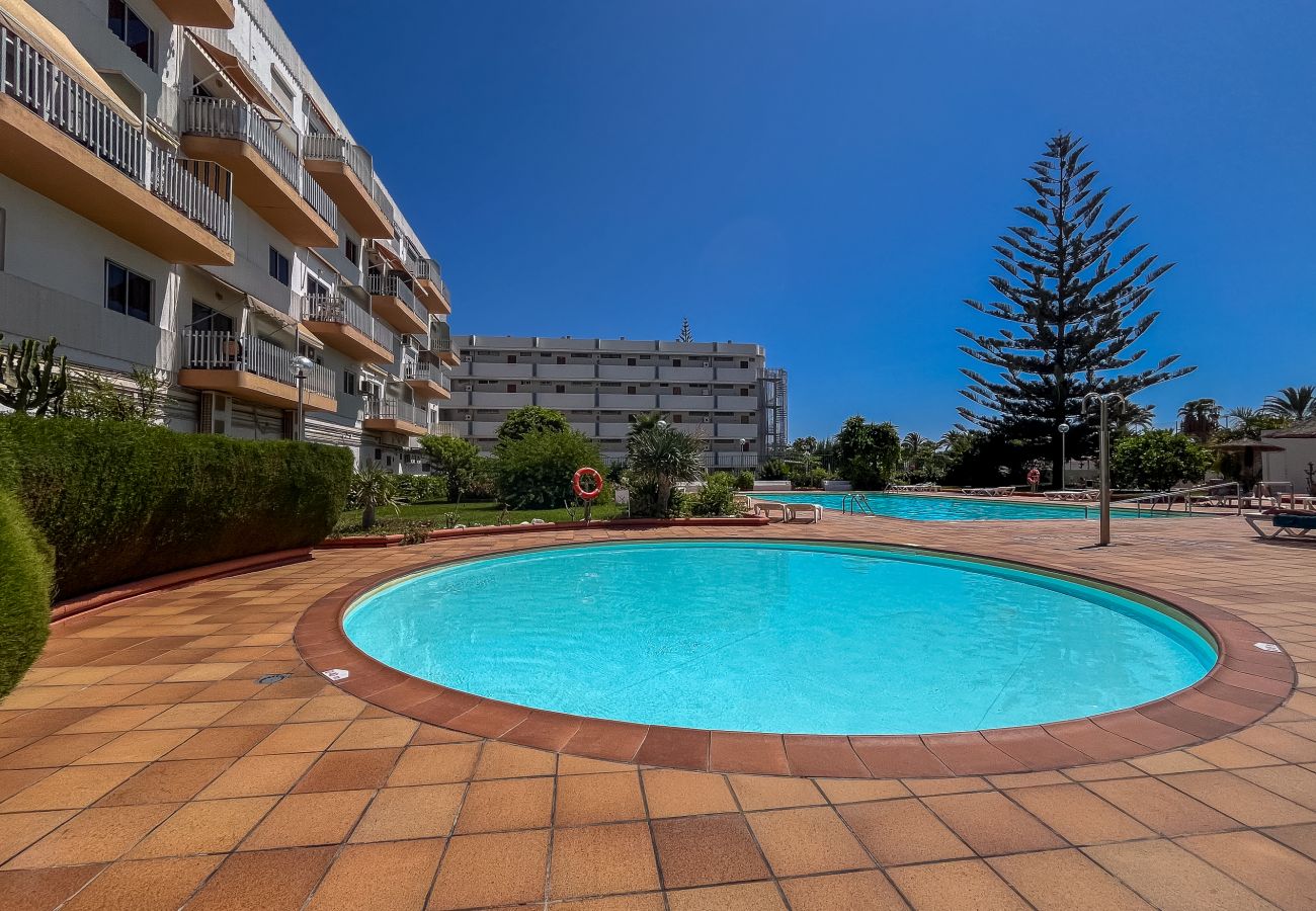 Apartment in Playa del Ingles - Lightbooking Tenesor Playa del Ingles center