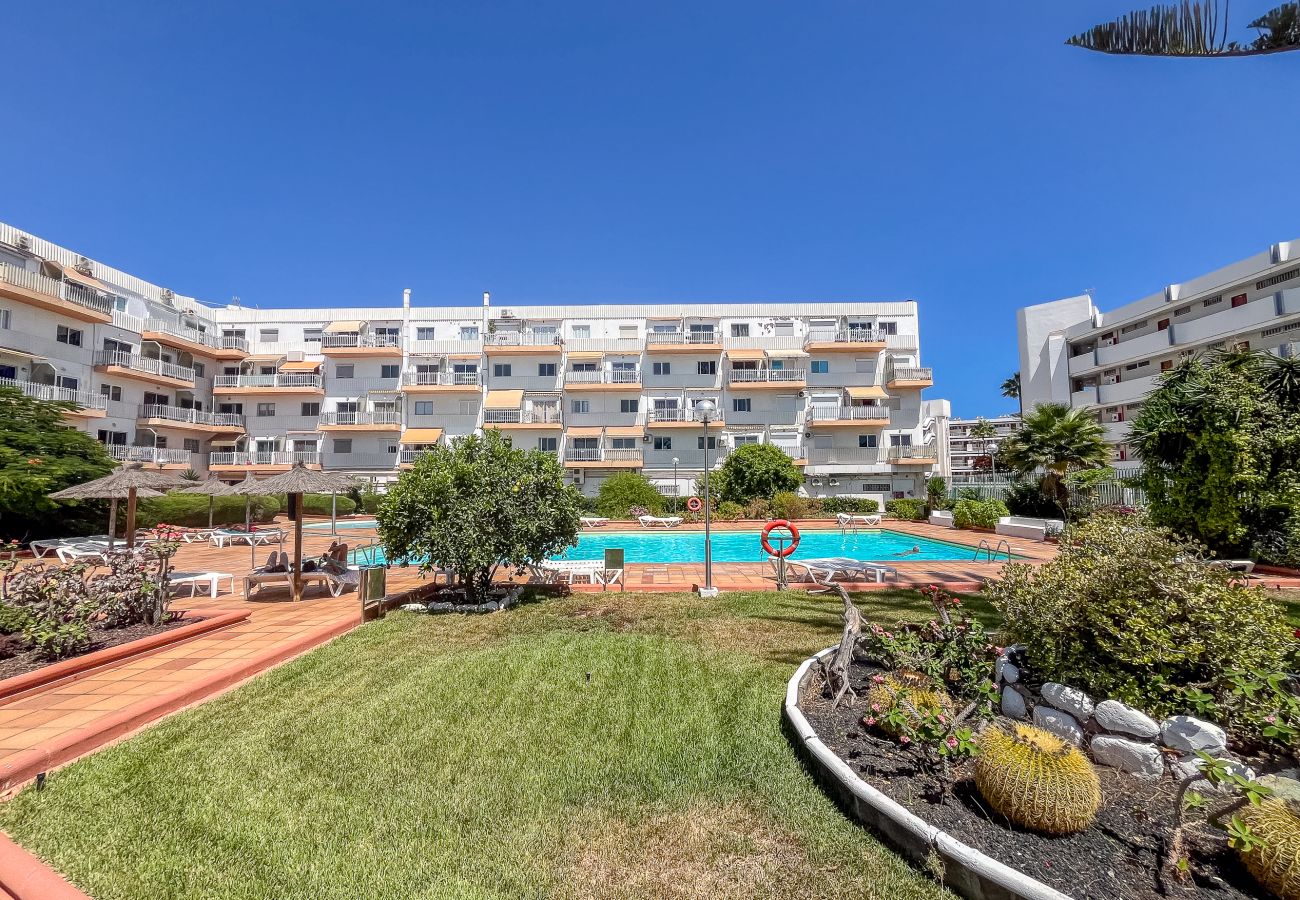 Apartment in Playa del Ingles - Lightbooking Tenesor Playa del Ingles center