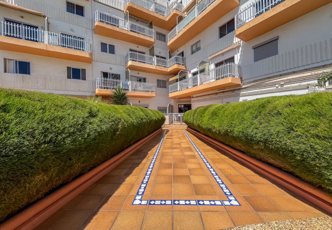 Apartment in Playa del Ingles - Lightbooking Tenesor Playa del Ingles center